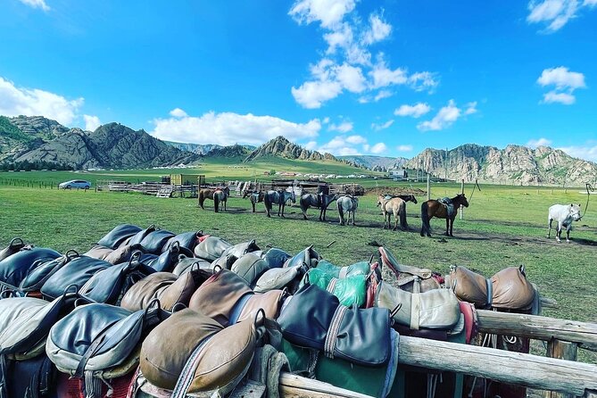 Full Day Private Tour in Terelj National Park with Horse Riding - Who will get the most from this day?