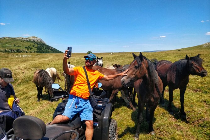Full-Day Quad and Wild Horses Safari in Livno from Split - Key points to know before booking