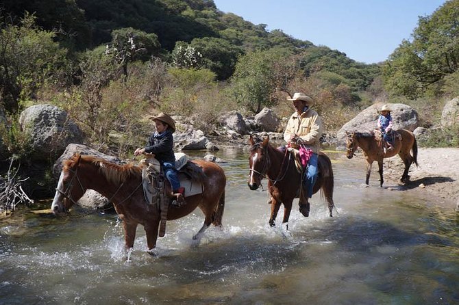 Full-Day Ranch Adventure and Horseback Riding Tour - What the $224 price really covers