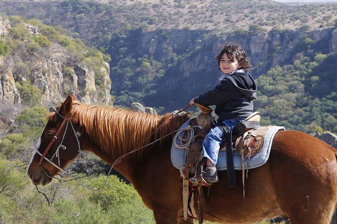 Full-Day Ranch Adventure and Horseback Riding Tour - The 40-minute ride down to Coyote Canyon