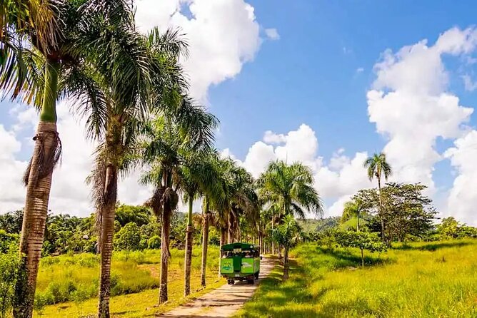 Full Dominican Adventure: Zipline, ATV Buggie, Horseback & Safari - Dominican buffet lunch