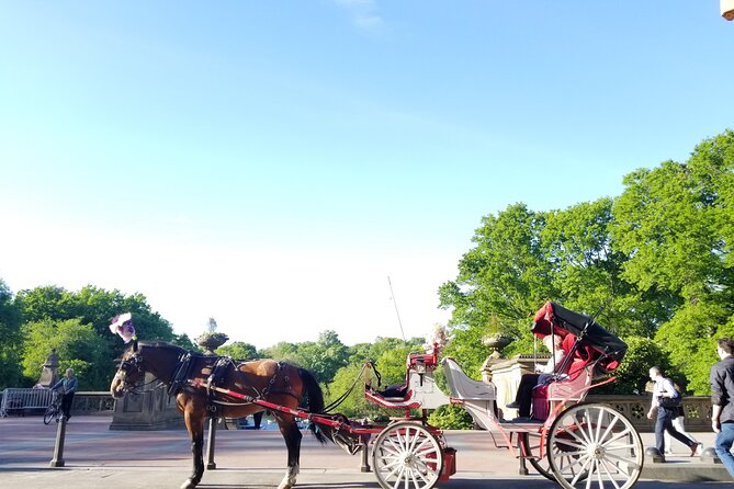 Full loop Private Horse Carriage Ride in Central Park 45 Minutes - Key points at a glance