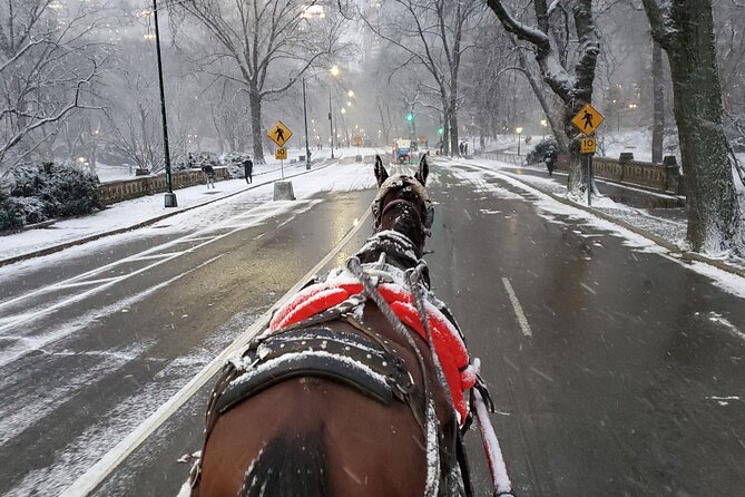 Full loop Private Horse Carriage Ride in Central Park 45 Minutes - Bethesda Terrace and Fountain