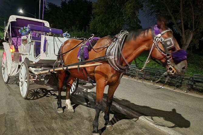 Full loop Private Horse Carriage Ride in Central Park 45 Minutes - Cherry Hill and the Lake