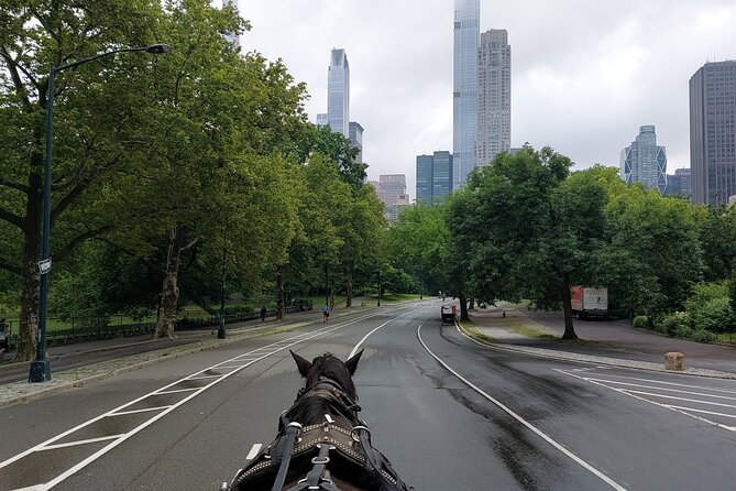 Full loop Private Horse Carriage Ride in Central Park 45 Minutes - What the private format adds