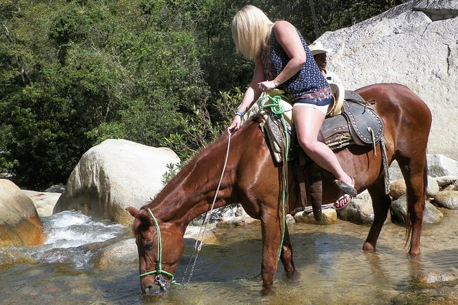 Fun Horseback Tour in Mismaloya - Leaving Puerto Vallarta for the Mismaloya Mountains