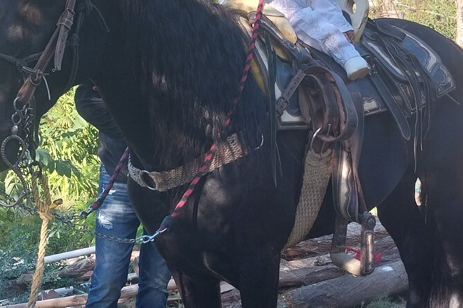 Fun Horseback Tour in Mismaloya - El Eden: Your One-Hour Mountain Break