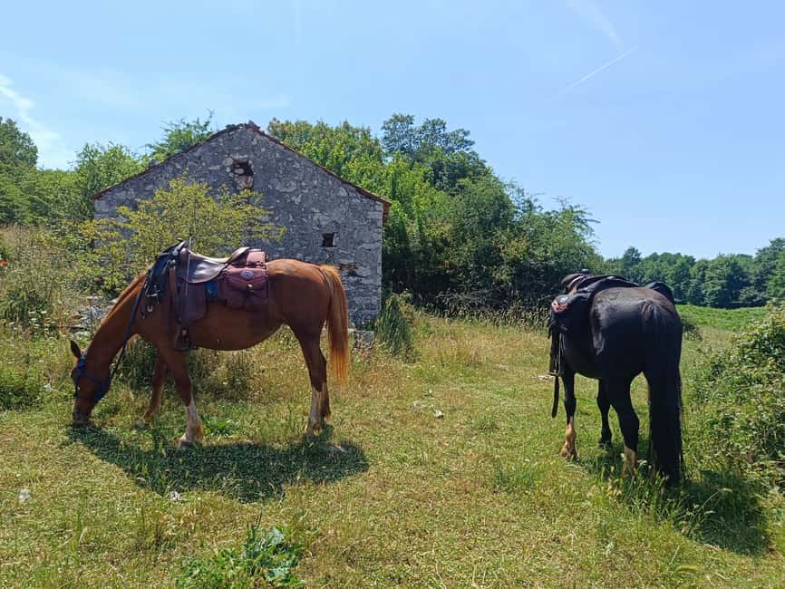 Gargano National Park: a horseback ride - A quiet way to see Gargano National Park