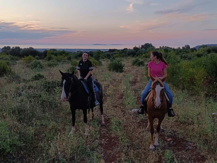 Gargano National Park: a horseback ride - The coastal view and Tremiti Islands