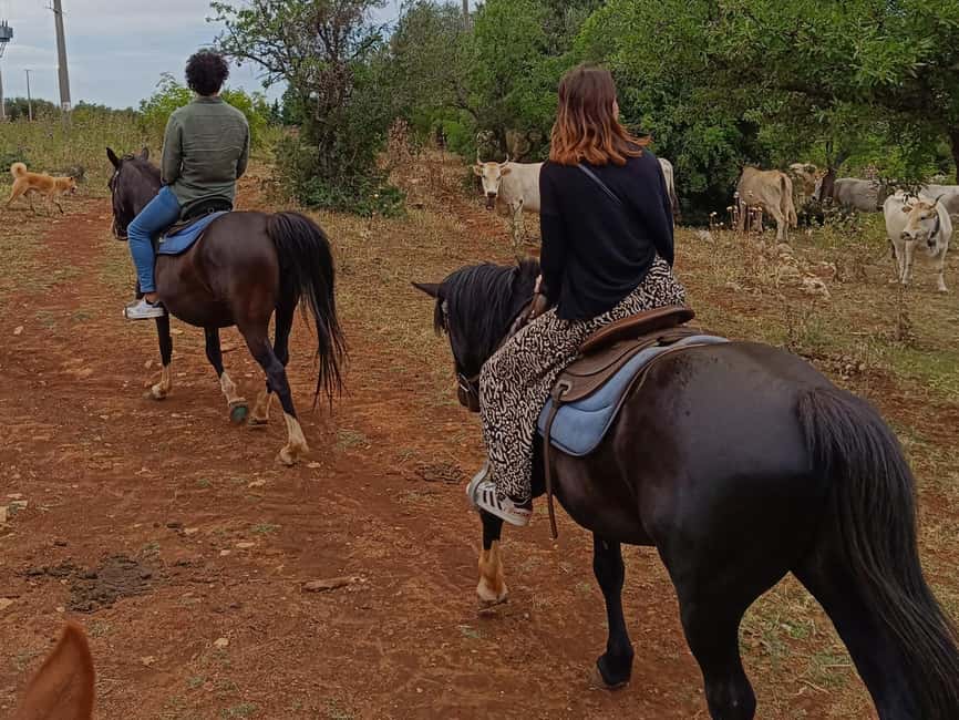 Gargano National Park: a horseback ride - A 10-minute photo stop