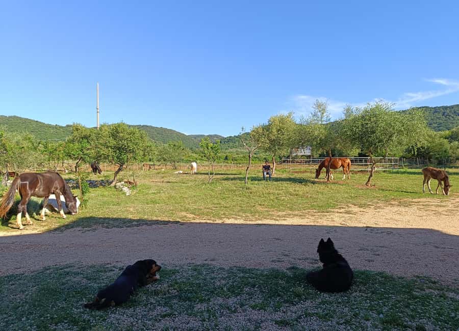 Gargano National Park: a horseback ride - What $53 buys you