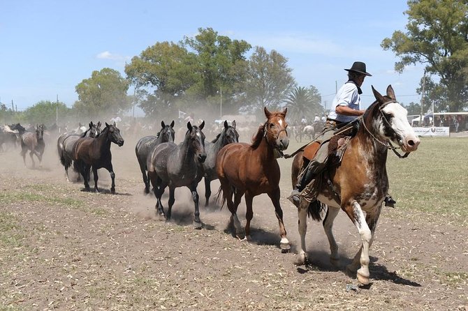Gaucho Experience: A Day Trip to Don Silvano Ranch - Arrival with empanadas, wine, and ranch sights