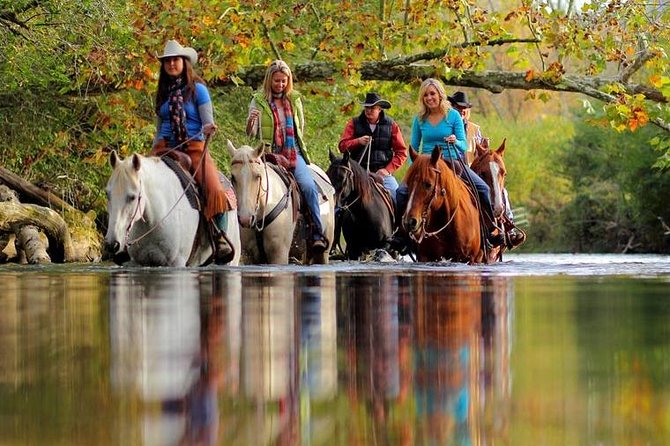 Georgia Horseback Ride with Wine Tasting - Boutier Winery and the wine stop