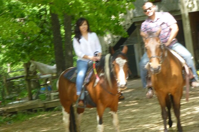 Georgia Horseback Ride with Wine Tasting - Lunch: picnic promise, unclear delivery