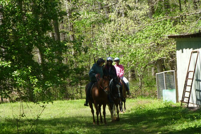 Georgia Horseback Ride with Wine Tasting - How to protect your booking