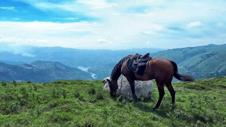 Gerês Braga: Horseback Ride in Peneda Gerês National Park - Key points to know before booking