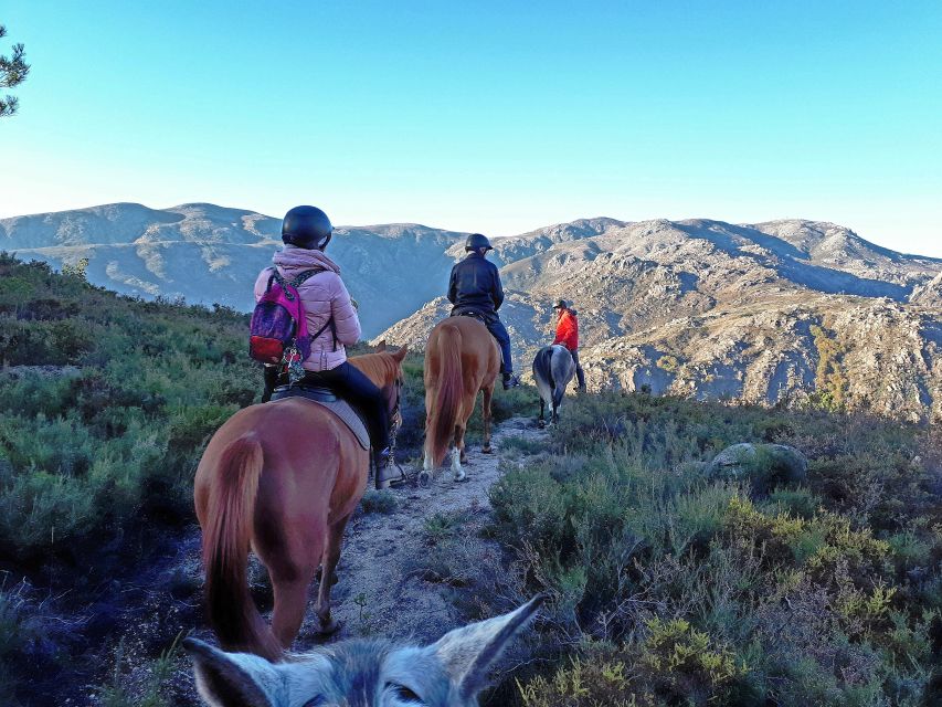 Gerês Braga: Horseback Ride in Peneda Gerês National Park - Meeting your horse in Campo do Gerês