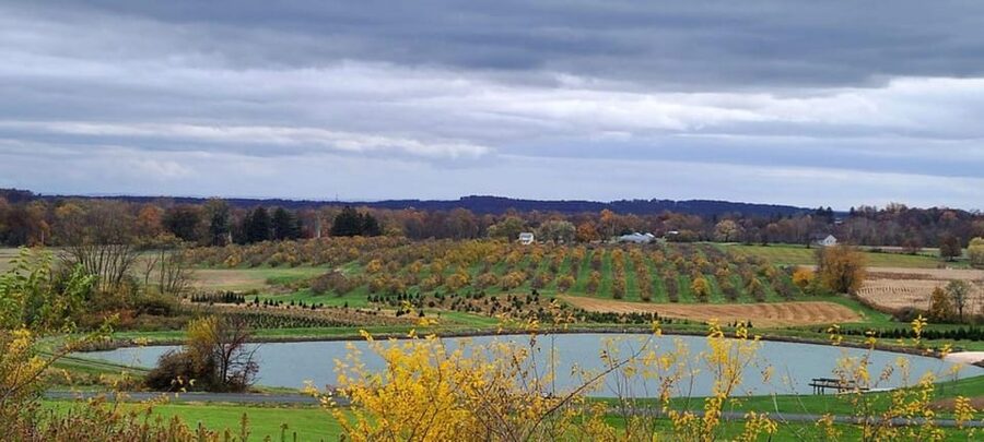 Gettysburg: Horse-Drawn Carriage Tour Countryside & Orchards - Practical Advice Before You Go