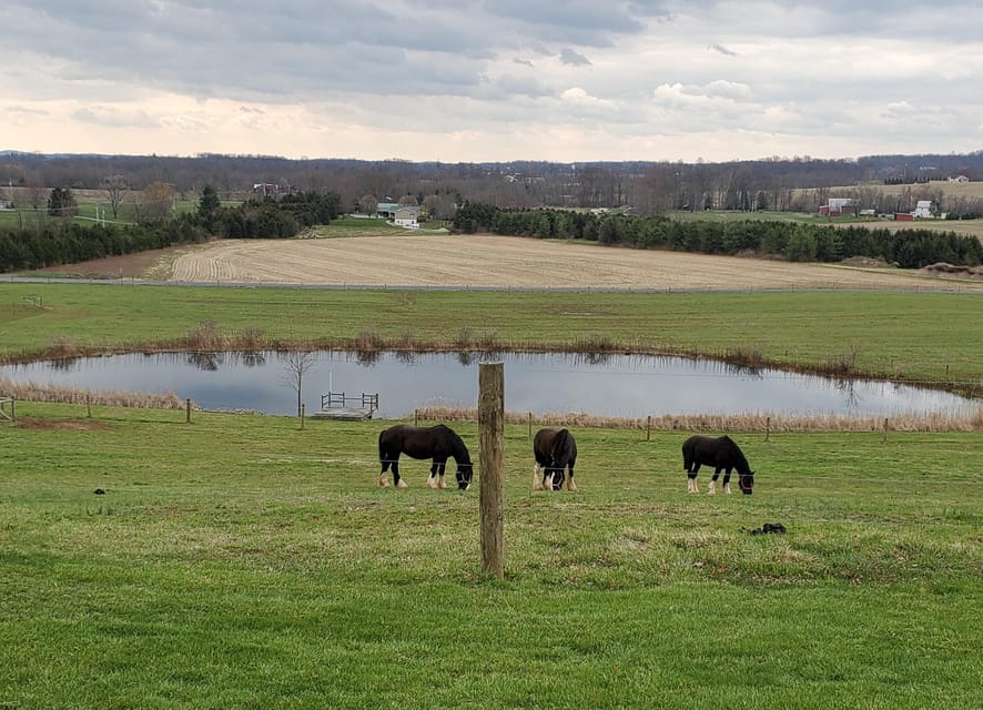Gettysburg: Horse-Drawn Carriage Tour Countryside & Orchards - Rolling Through Orchards and Working Farms