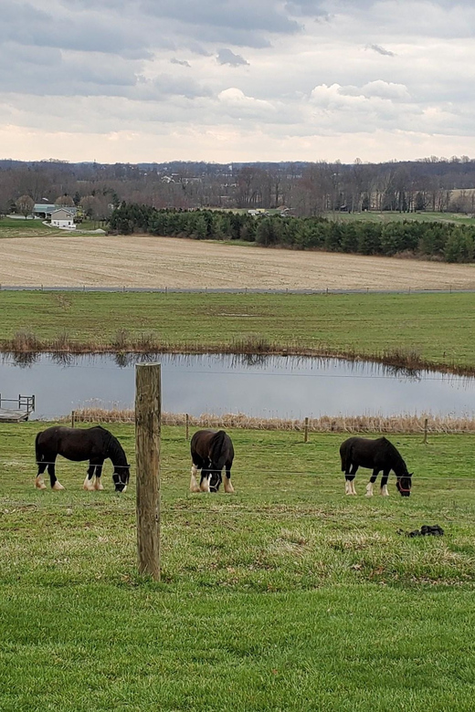 Gettysburg: Horse-Drawn Carriage Tour Countryside & Orchards - The Narration: Farms, Horses, and Gettysburg