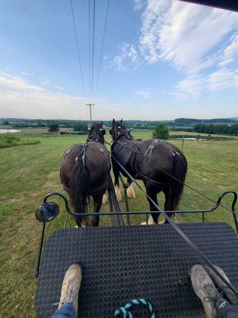 Gettysburg: Horse-Drawn Carriage Tour Countryside & Orchards - Who Will Enjoy the One-Hour Format