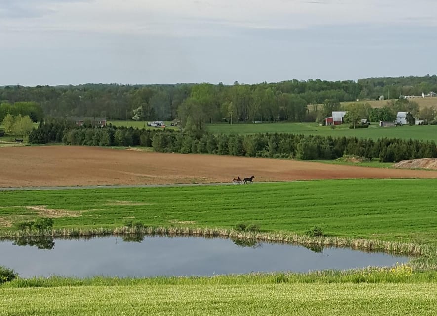 Gettysburg: Horse-Drawn Carriage Tour Countryside & Orchards - Is $44 a Fair Price?