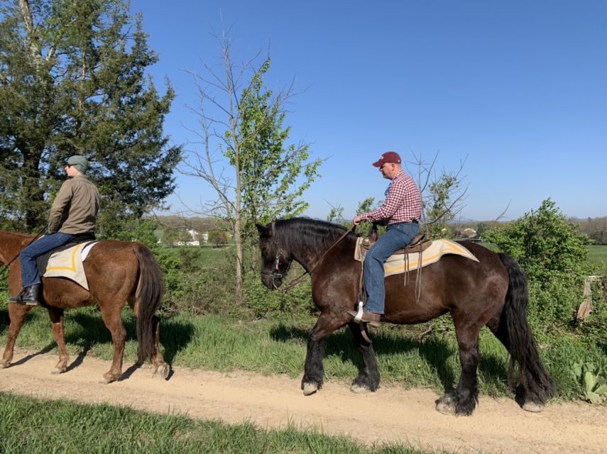 Gettysburg: Licensed Guided Battlefield Horseback Tour - The Virginia Monument and the story after Pickett’s Charge
