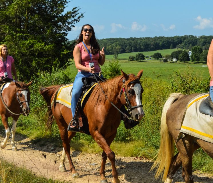 Gettysburg: Licensed Guided Battlefield Horseback Tour - Spangler Farm and the view toward Little Round Top