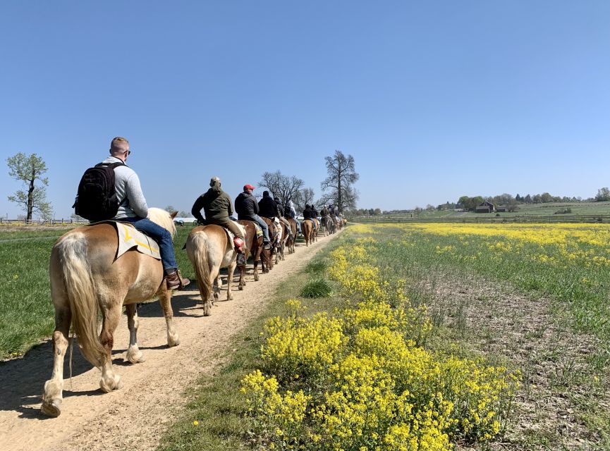 Gettysburg: Licensed Guided Battlefield Horseback Tour - Crossing Emmitsburg Road to Trostle Farm
