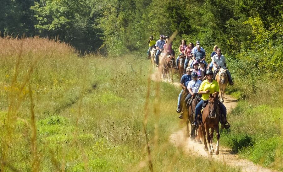 Gettysburg: Licensed Guided Battlefield Horseback Tour - Starting at McMillan Woods Campground