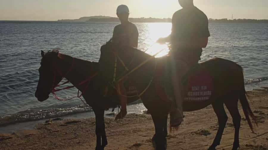 Gili Air: 1-Hour Horse Riding Adventure - What the $39 price buys you