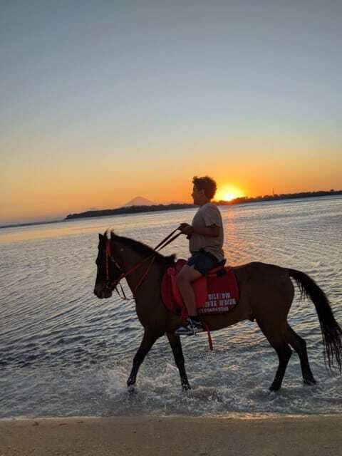 Gili Air: 1 Hour Horseback Riding With hotel Transfer - What the $48 price includes