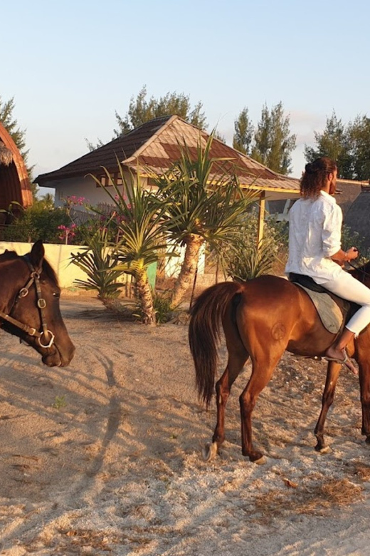 Gili Meno: 1-Hour Beginner Horse Riding Experience - My verdict on the Gili Meno horse ride