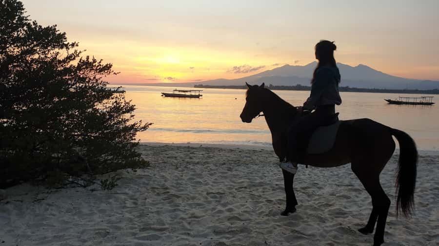 Gili Meno: 1-Hour Beginner Horse Riding Experience - Why horseback riding works well on Gili Meno