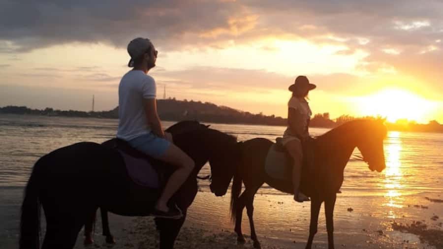 Gili Meno: 1-Hour Beginner Horse Riding Experience - What the $39 price really covers