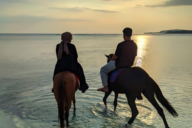 Gili Meno Horse Riding Adventure on the Beach for 1 Hour - One hour along the white sand