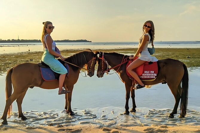 Gili Meno Horse Riding Adventure on the Beach for 1 Hour - Why the private format matters