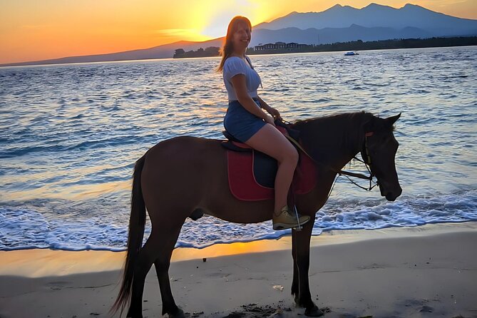 Gili Meno Horse Riding Adventure on the Beach for 1 Hour - Price: $41.69 for a short, personal experience