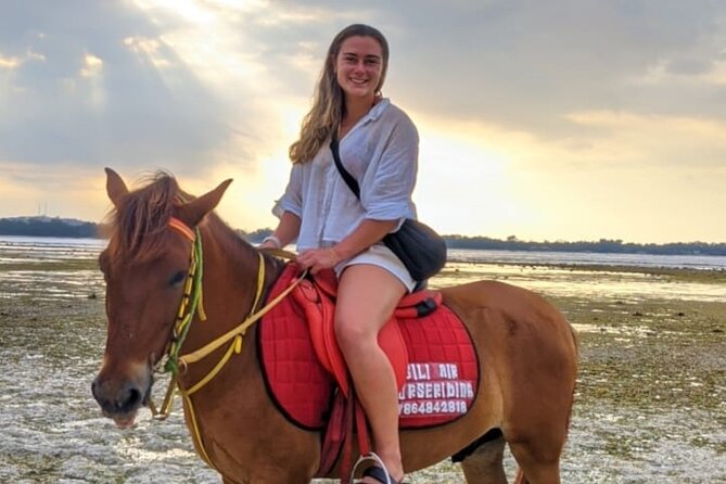 Gili Meno Horse Riding Adventure on the Beach for 1 Hour - Who should book this Gili Meno ride