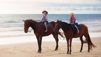 Gili Trawangan: Beach Horseback Riding with Pickup Hotel