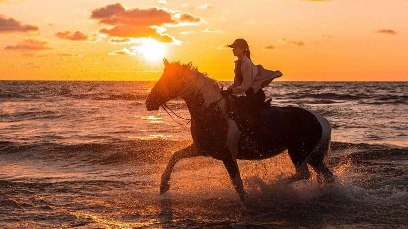 Gili Trawangan: Beach Horseback Riding with Pickup Hotel - Caves, elephant carvings, and a little extra character