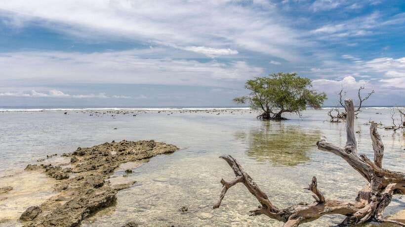 Gili Trawangan: Beach Horseback Riding with Pickup Hotel - Is $45 a fair price?