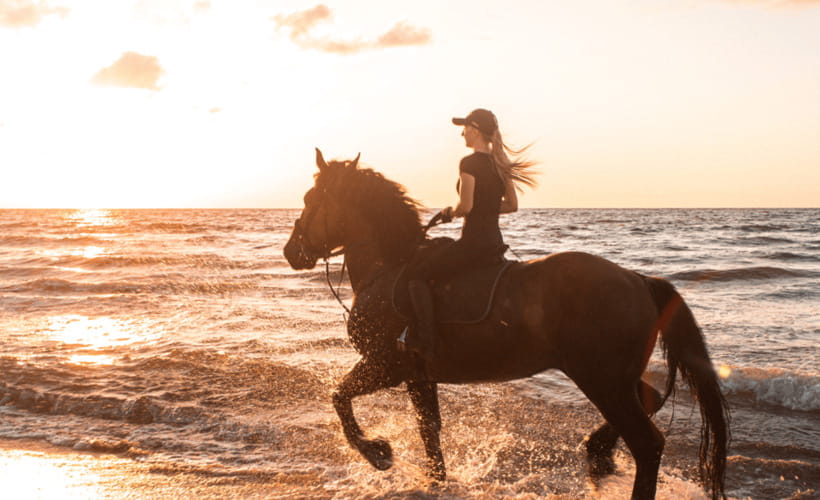 Gili Trawangan: Beach Horseback Riding with Pickup Hotel - Who should book this ride?