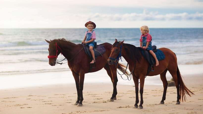 Gili Trawangan: Beach Horseback Riding with Pickup Hotel - What happens from hotel pickup to the beach