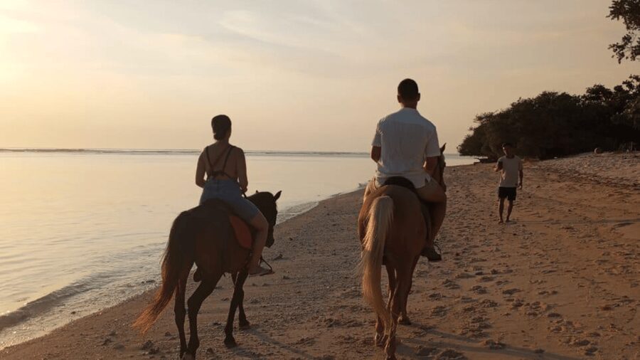 Gili Trawangan: Horse Riding on the Beach - Is $30 a fair price?