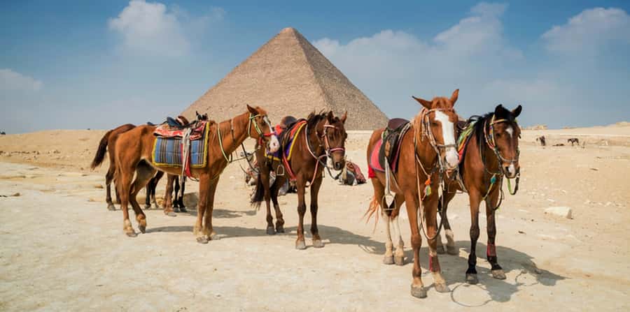 Giza: Arabian Horse Tour Around the Giza Pyramids - What the $20 price really covers