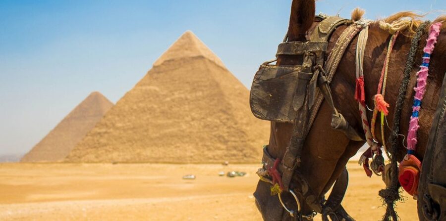 Giza: Arabian Horse Tour Around the Giza Pyramids - Who will get the most from this ride