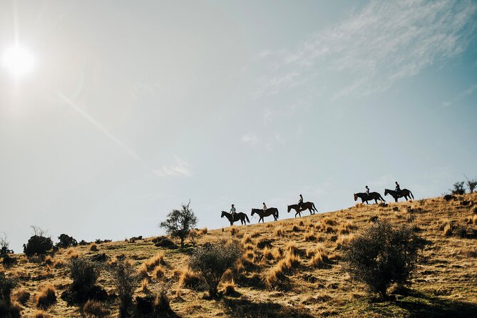 Gold Discovery Trail Horse Trek Cardrona - Most popular! - Key points to know before you saddle up