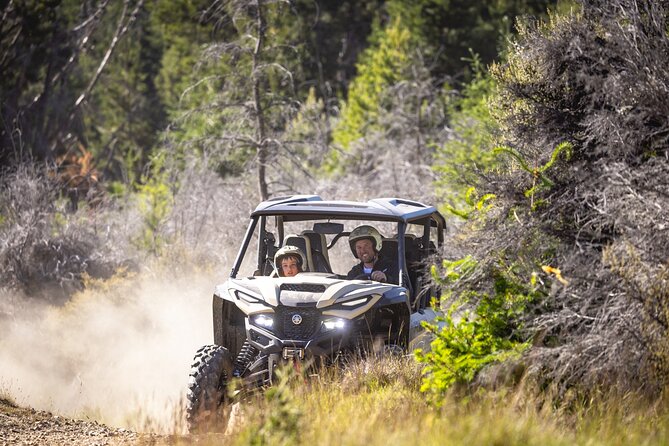 Gold Discovery Trail Horse Trek Cardrona - Most popular! - The price and what you are really paying for