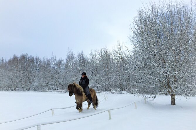 Golden Circle, Fridheimar Farm & Horses Small Group Tour from Reykjavik - Kerid Crater and its red volcanic walls